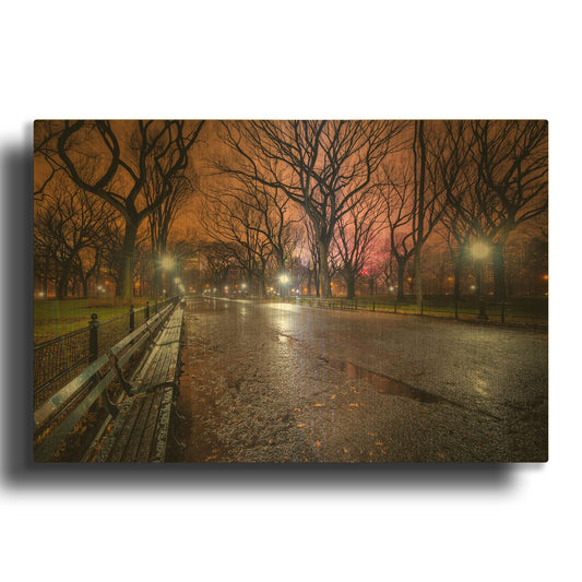 'The Crying Park' By Edin Chavez Gold Metal Wall Art