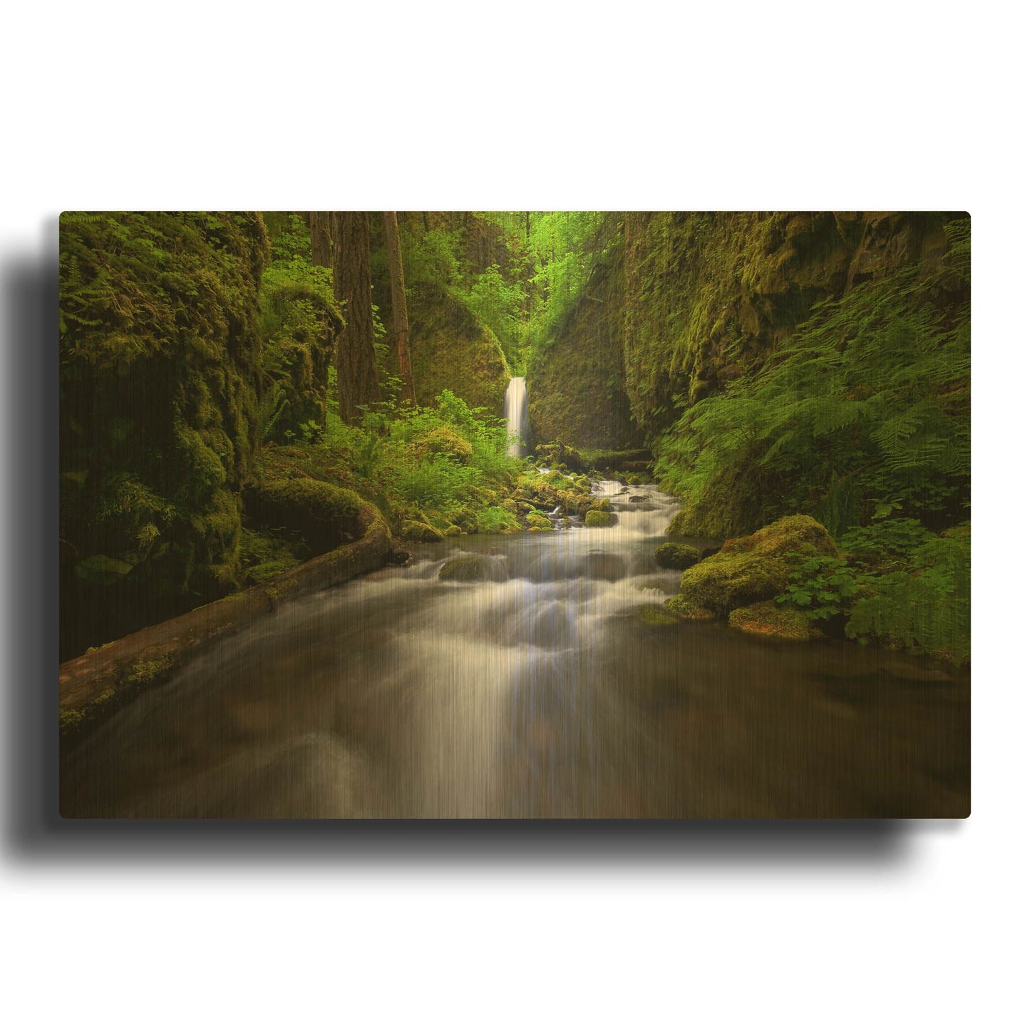 'Lushnes' By Jesse Estes Gold Metal Wall Art