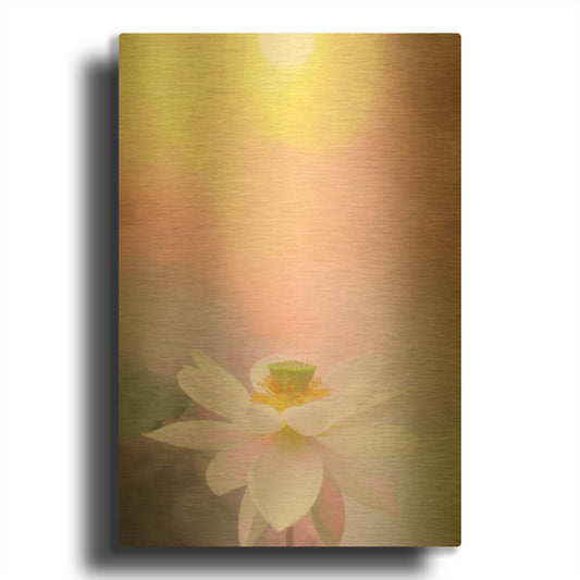 'Beauty at Dawn' By Bahman Farzad Gold Metal Wall Art