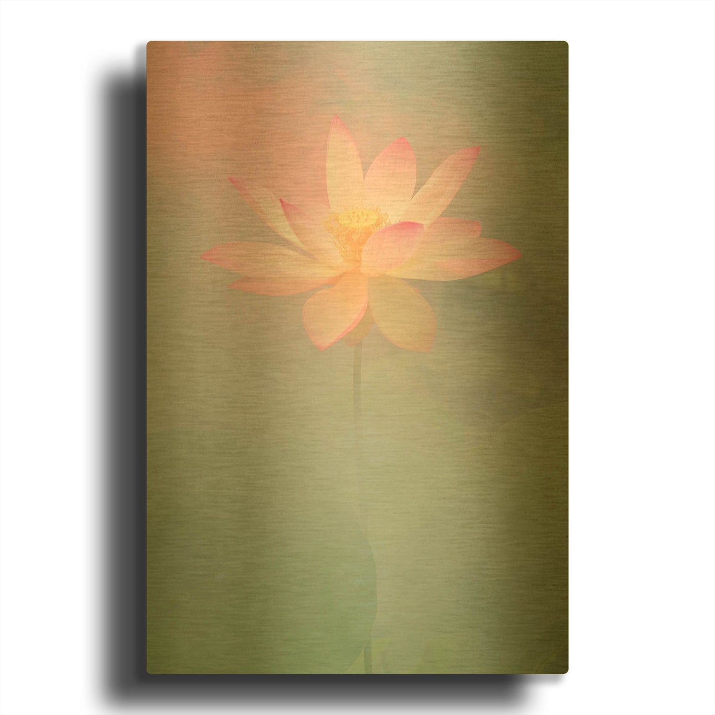 'Pink Passion' By Bahman Farzad Gold Metal Wall Art