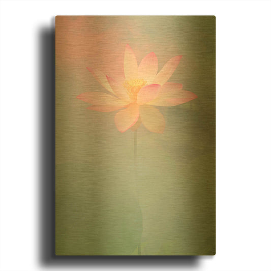 'Pink Passion' By Bahman Farzad Gold Metal Wall Art