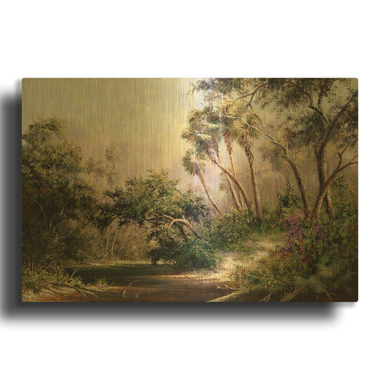 'Myakka River Scene' By Art Fronckowiak Gold Metal Wall Art