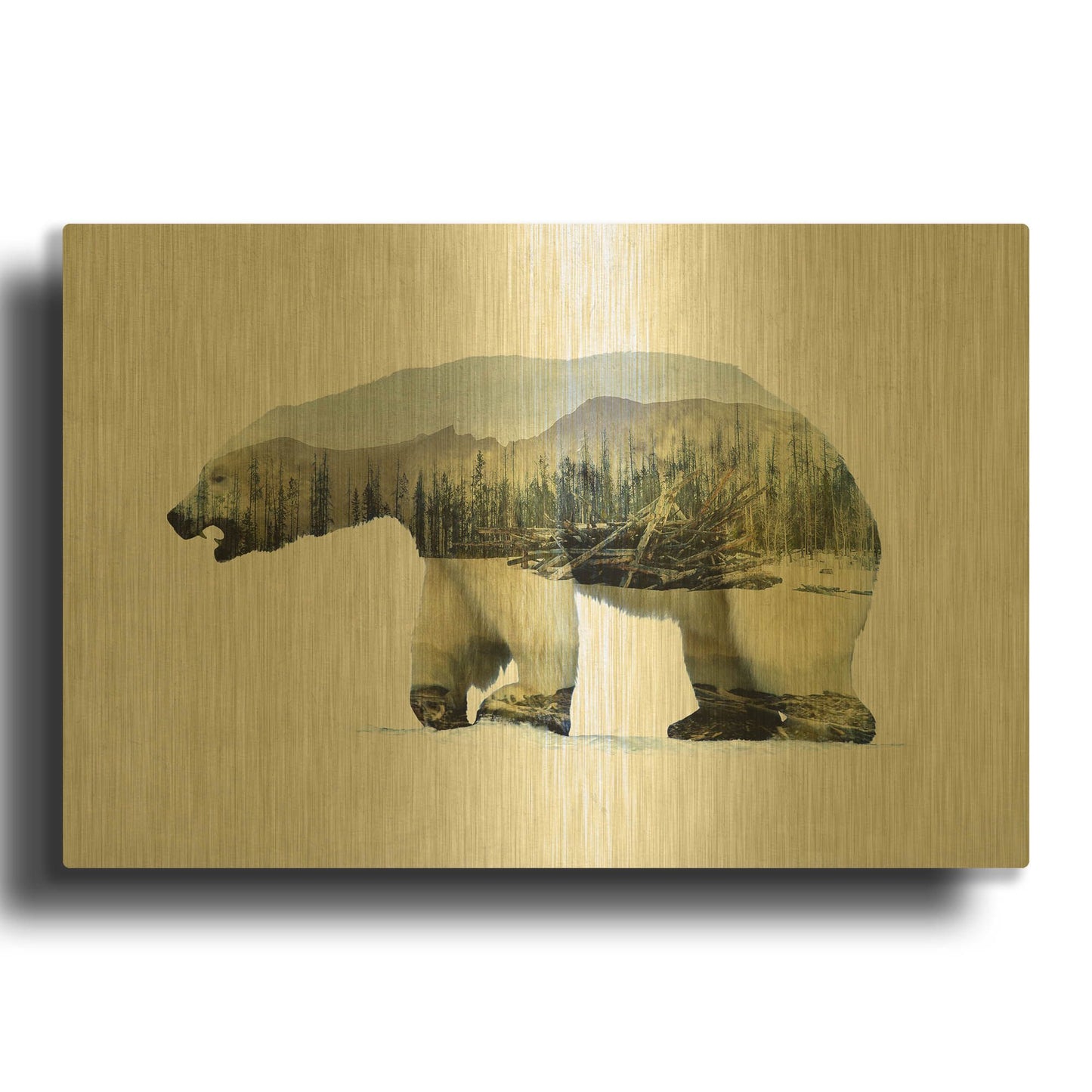 'Arctic Polar Bear' By Davies Babies Gold Metal Wall Art