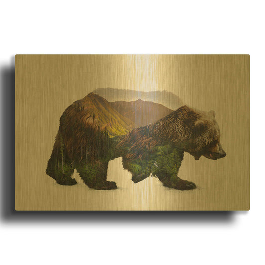 'North American Brown Bear' By Davies Babies Gold Metal Wall Art