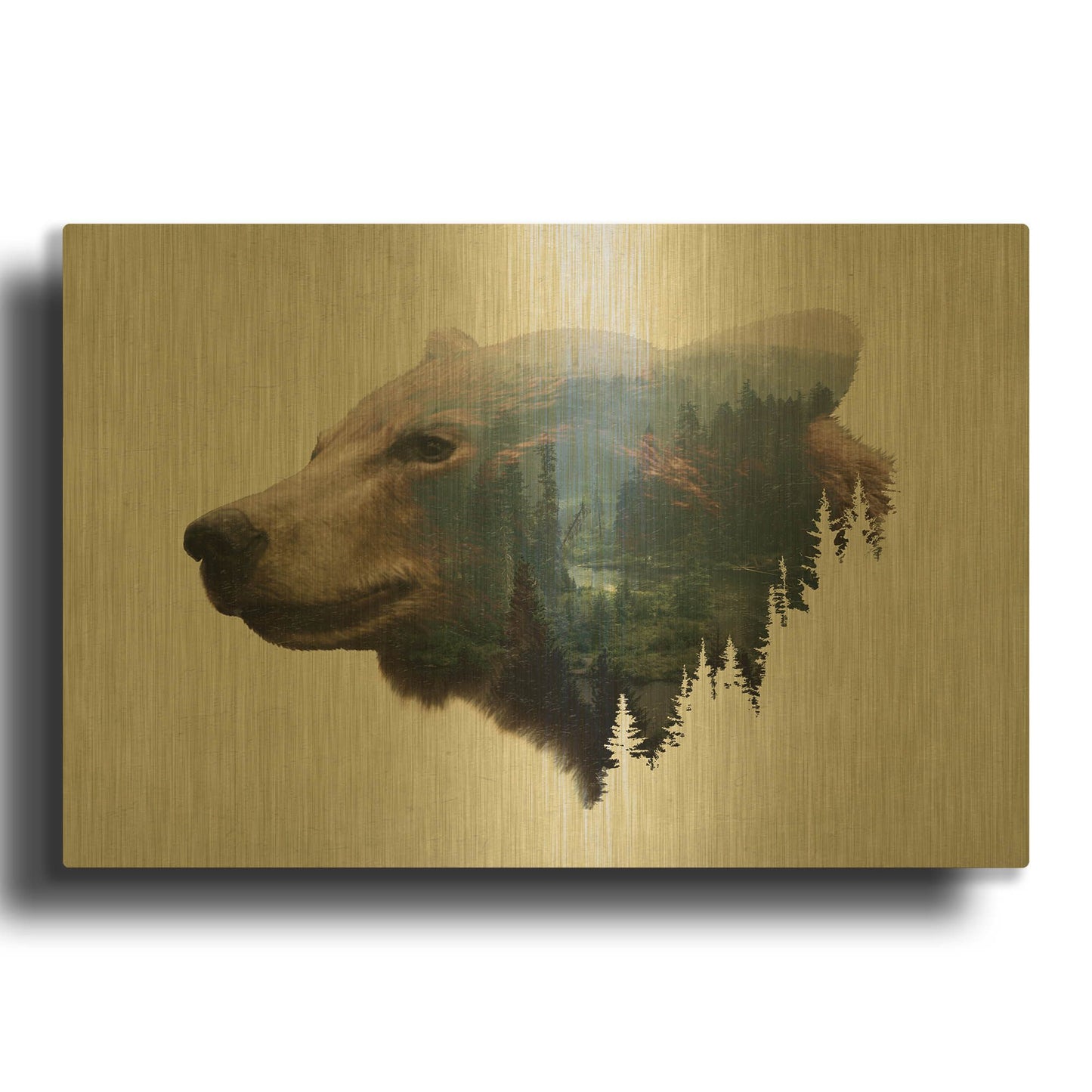 'Pacific Northwest Black Bear' By Davies Babies Gold Metal Wall Art