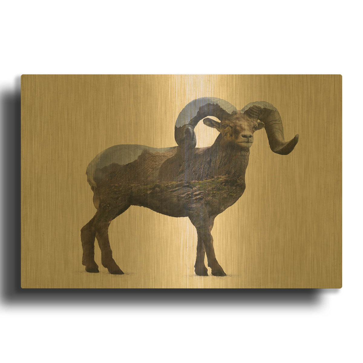 'Rocky Mountain Bighorn' By Davies Babies Gold Metal Wall Art