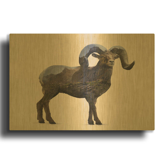 'Rocky Mountain Bighorn' By Davies Babies Gold Metal Wall Art