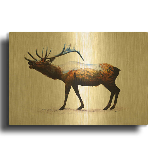 'Rocky Mountain Elk' By Davies Babies Gold Metal Wall Art