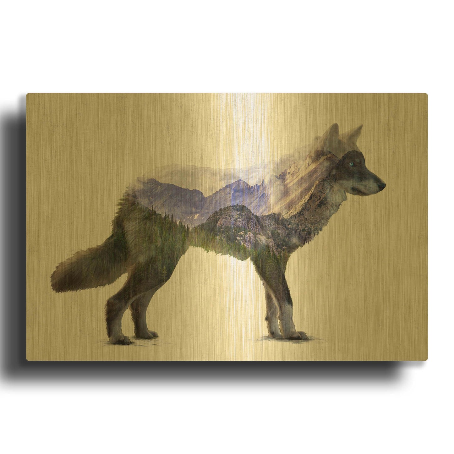 'Rocky Mountain Grey Wolf' By Davies Babies Gold Metal Wall Art
