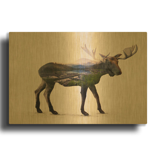 'The Alaskan Bull Moose' By Davies Babies Gold Metal Wall Art
