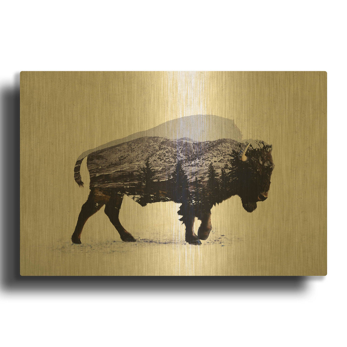 'The American Bison' By Davies Babies Gold Metal Wall Art