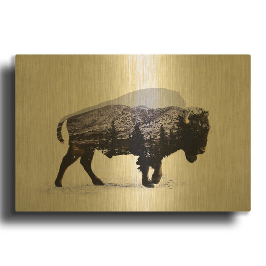 'The American Bison' By Davies Babies Gold Metal Wall Art