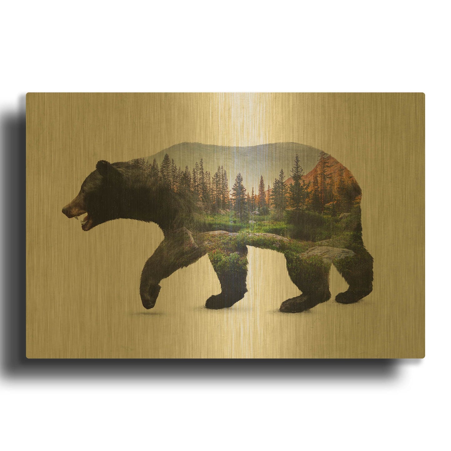 'The North American Black Bear' By Davies Babies Gold Metal Wall Art