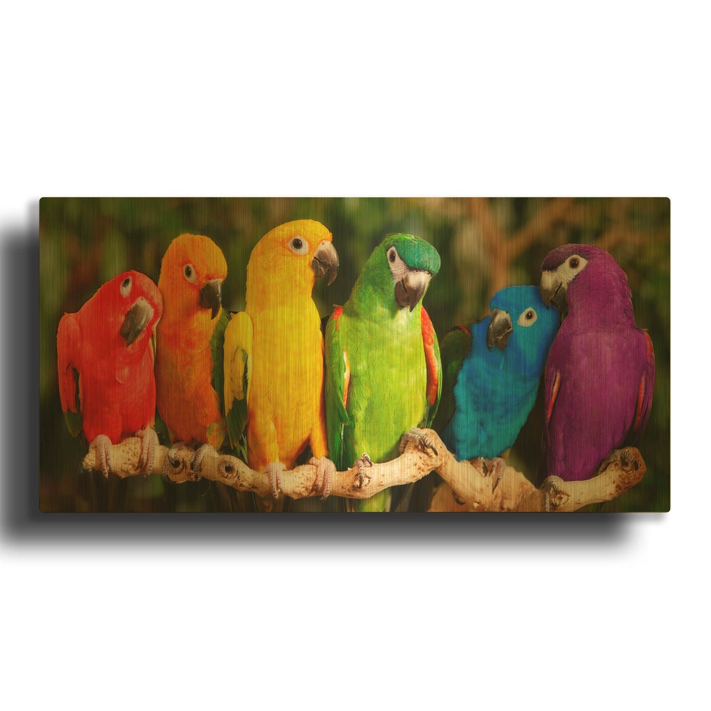 'Rainbow Parrots' By Mike Jones Gold Metal Wall Art