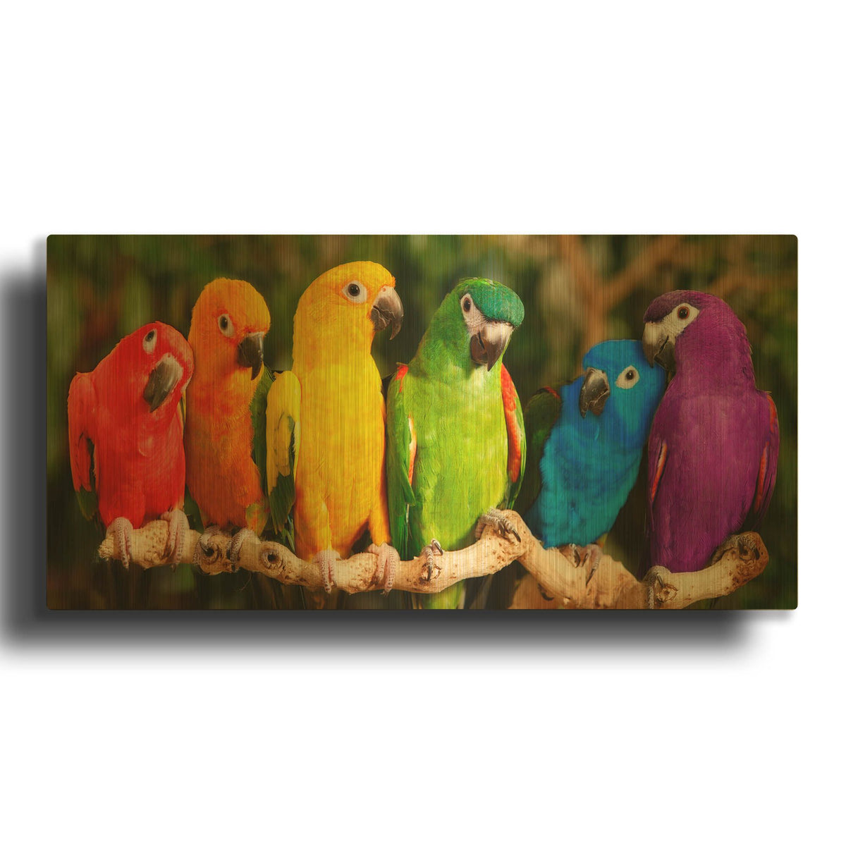 'Rainbow Parrots' By Mike Jones Gold Metal Wall Art