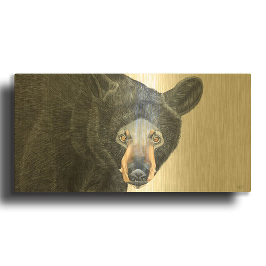 'Black Bear' By Diane Fifer Gold Metal Wall Art