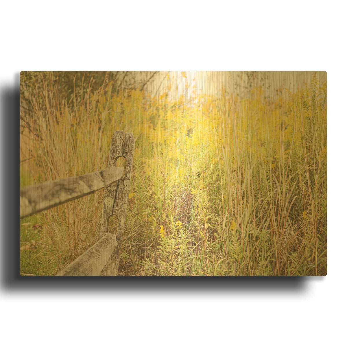'Fence Stops Here' By Donnie Quillen Gold Metal Wall Art
