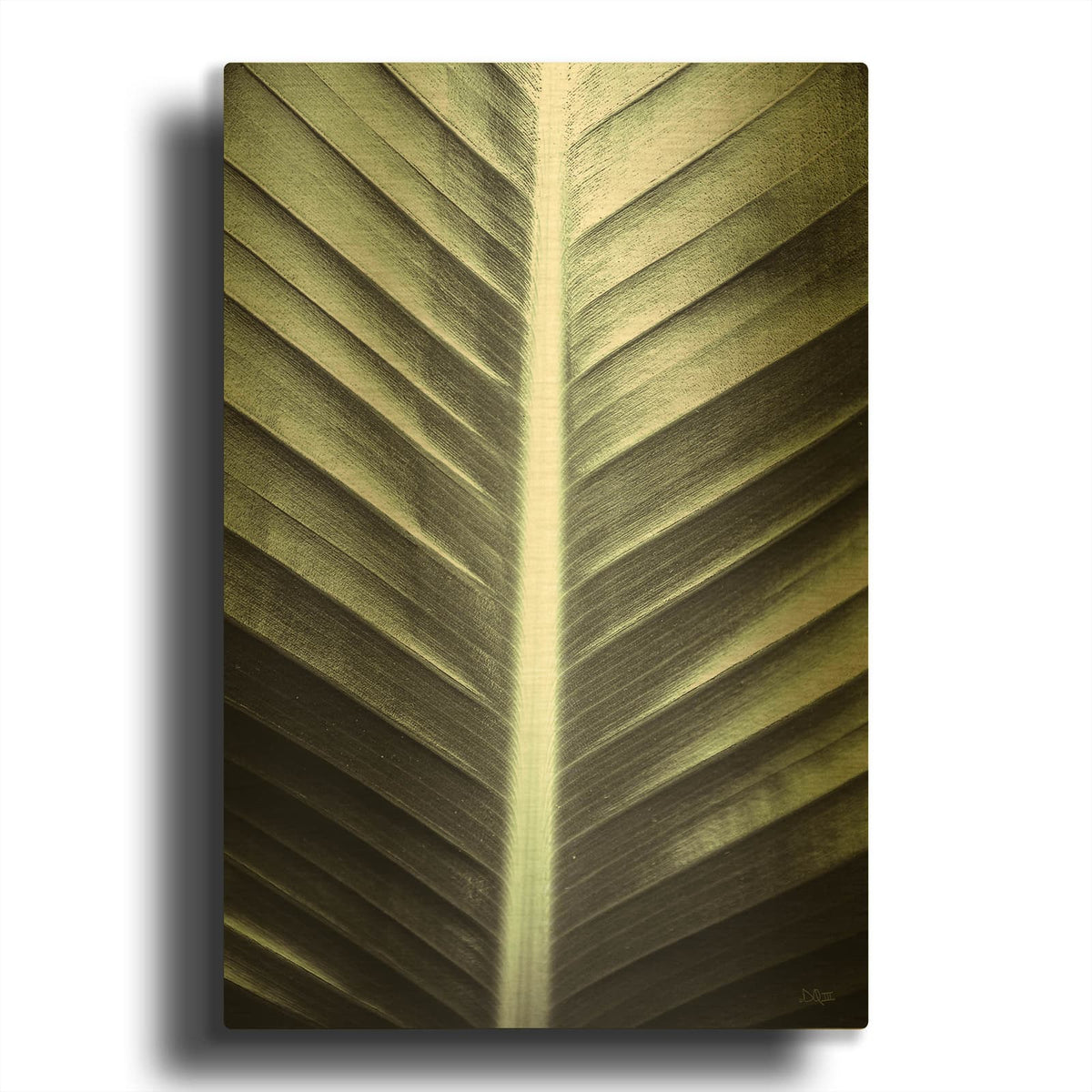 'Leaf Lines' By Donnie Quillen Gold Metal Wall Art