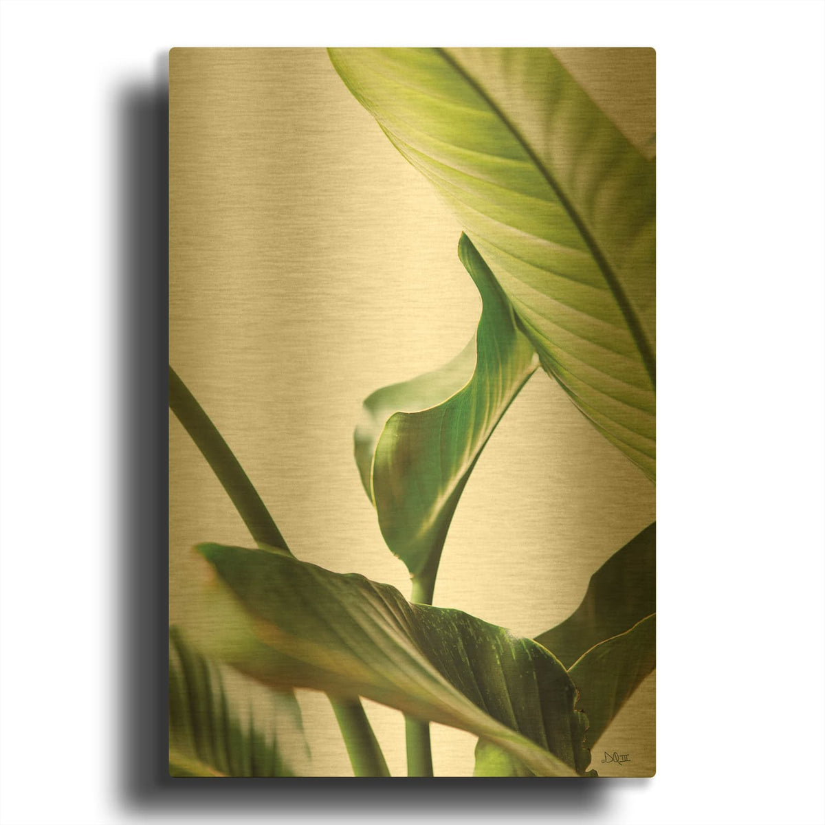 'Plant Leaves' By Donnie Quillen Gold Metal Wall Art