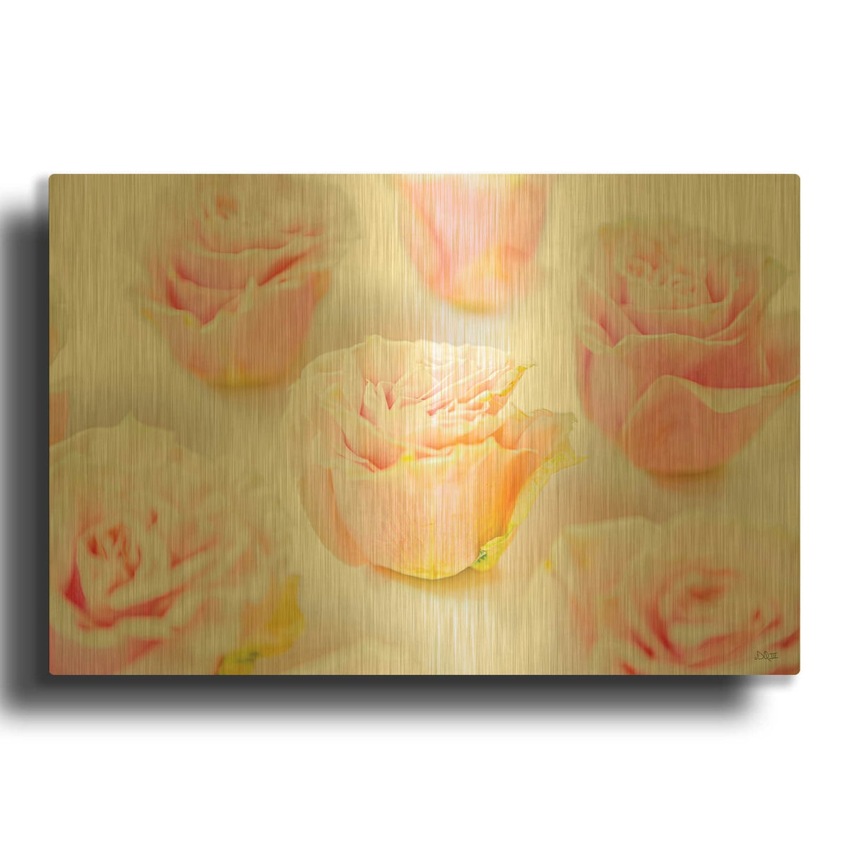 'Pale Pink Rose Blooms III' By Donnie Quillen Gold Metal Wall Art