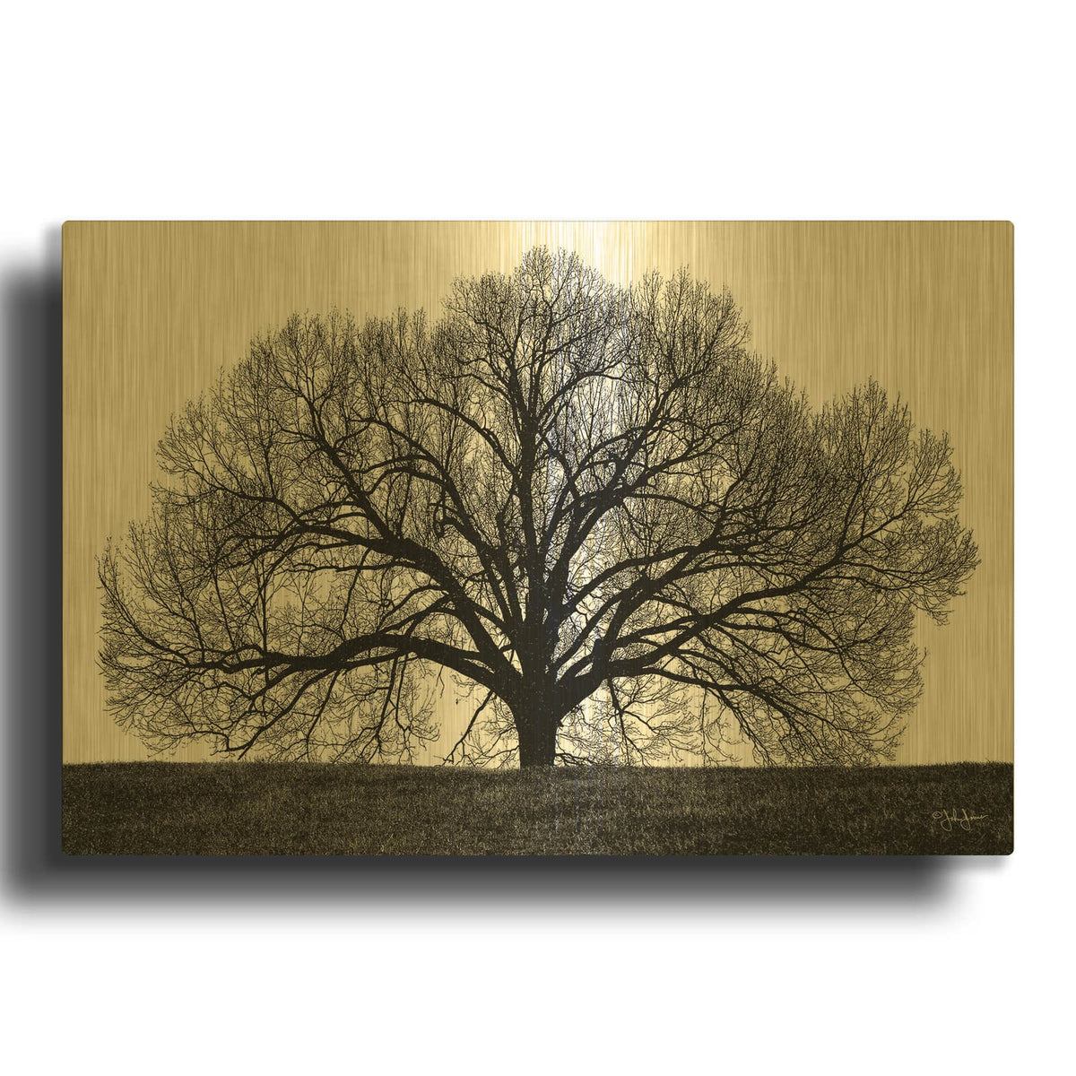 'The Tree' By John Jones Gold Metal Wall Art