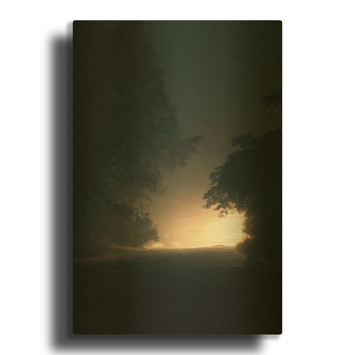 'A Light in the Dark' By Design Fabrikken Gold Metal Wall Art