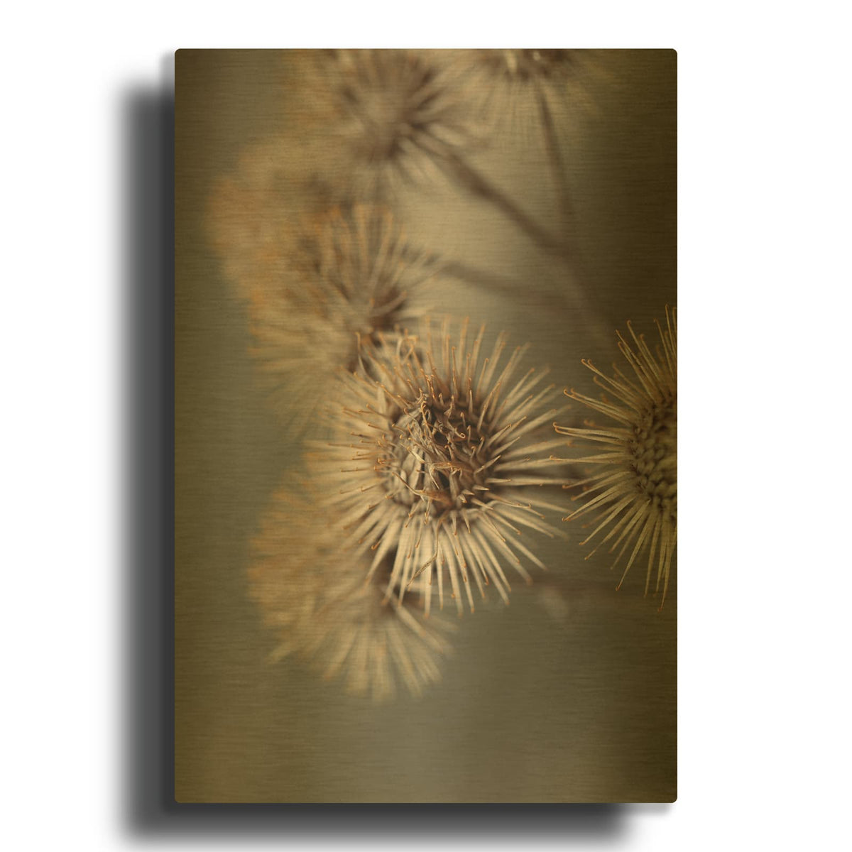 'Avantgarde' By Design Fabrikken Gold Metal Wall Art