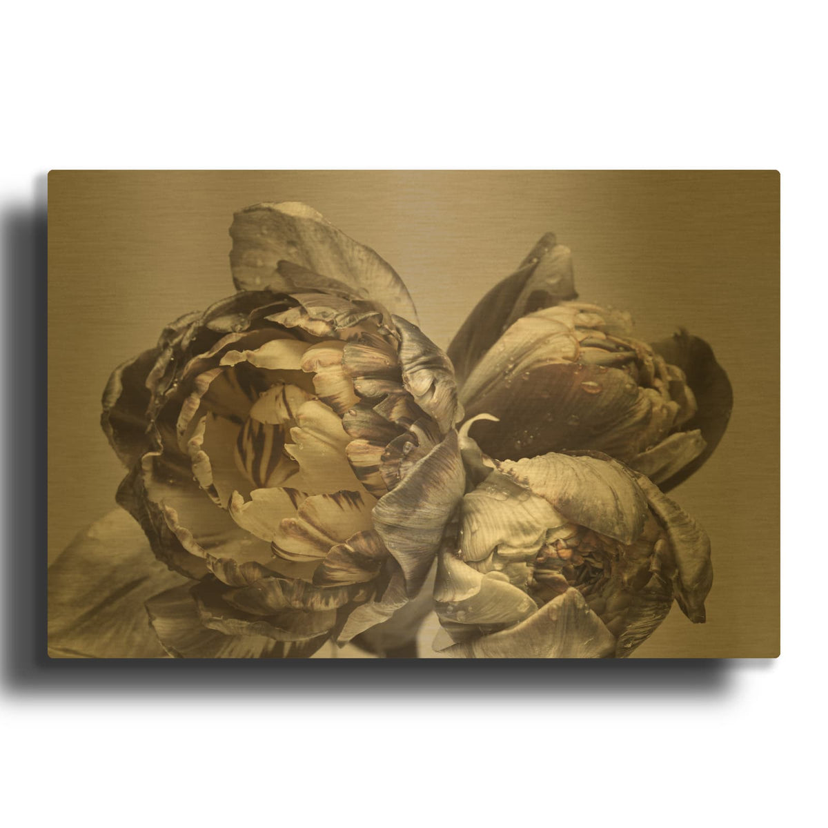 'Baroque 4' By Design Fabrikken Gold Metal Wall Art