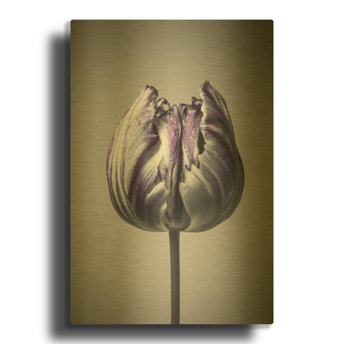 'Baroque 5' By Design Fabrikken Gold Metal Wall Art