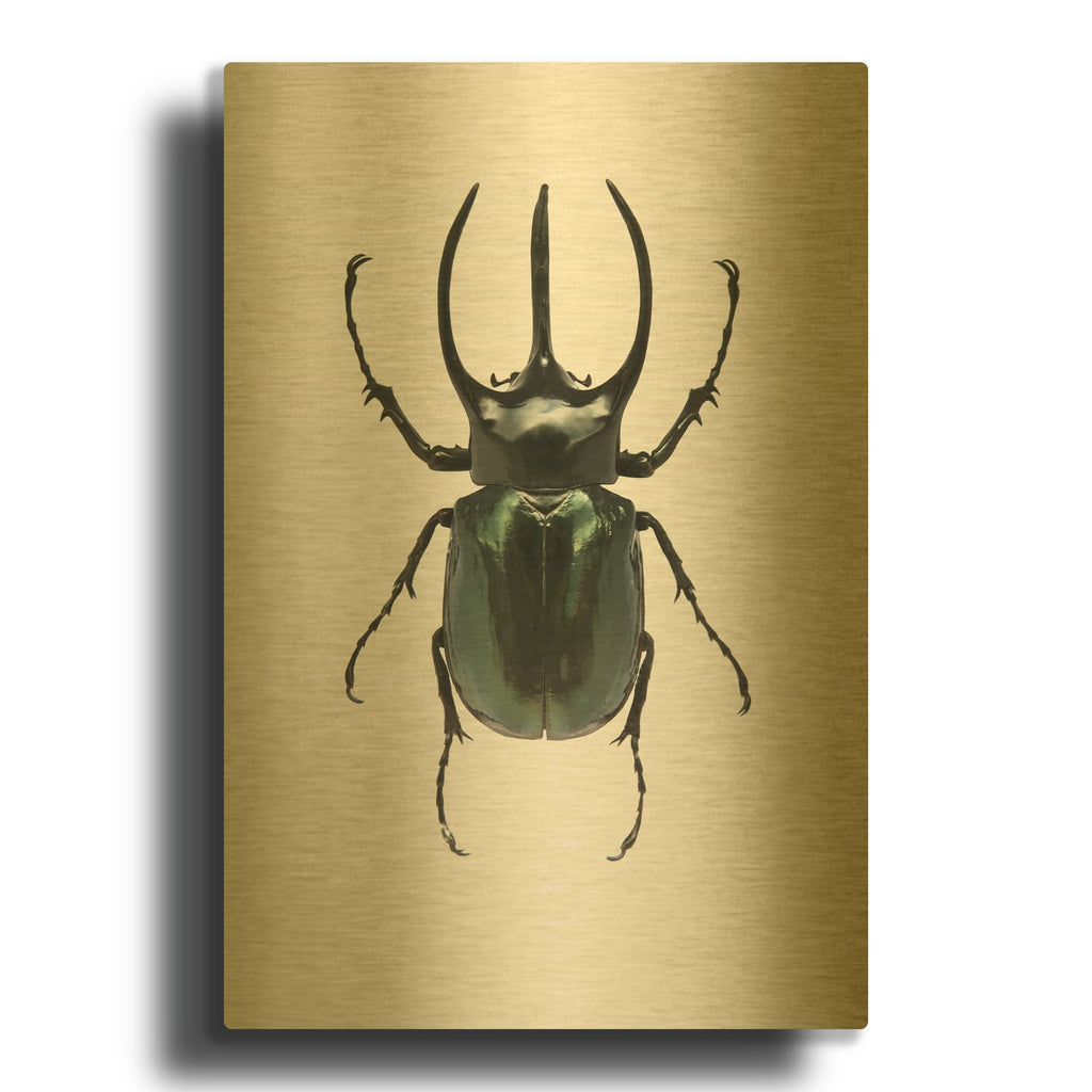 'Beetle 2' By Design Fabrikken Gold Metal Wall Art
