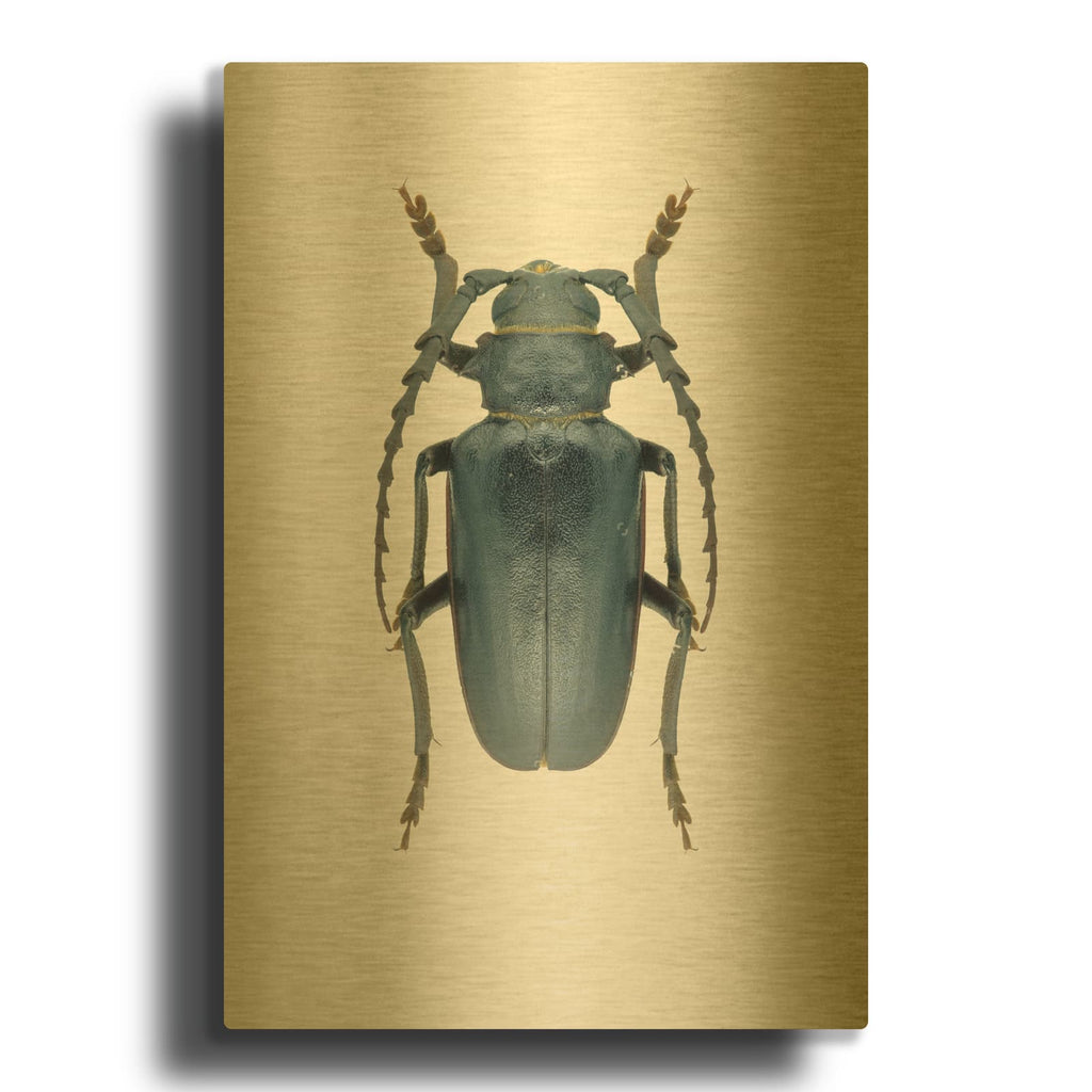 'Beetle 3' By Design Fabrikken Gold Metal Wall Art
