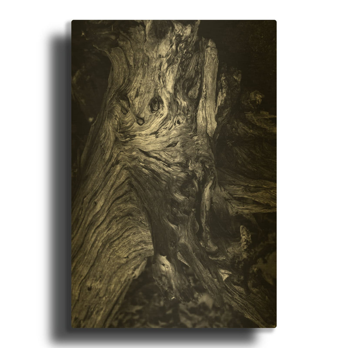 'Black Wood' By Design Fabrikken Gold Metal Wall Art