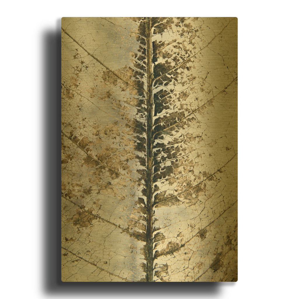 'Close Up' By Design Fabrikken Gold Metal Wall Art