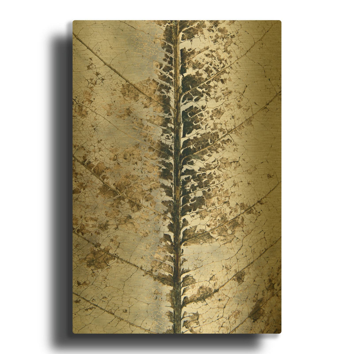 'Close Up' By Design Fabrikken Gold Metal Wall Art