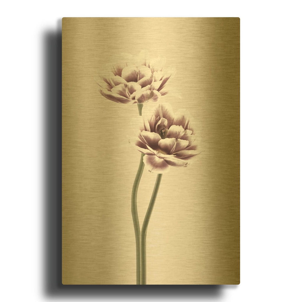 'Cosmos 1' By Design Fabrikken Gold Metal Wall Art