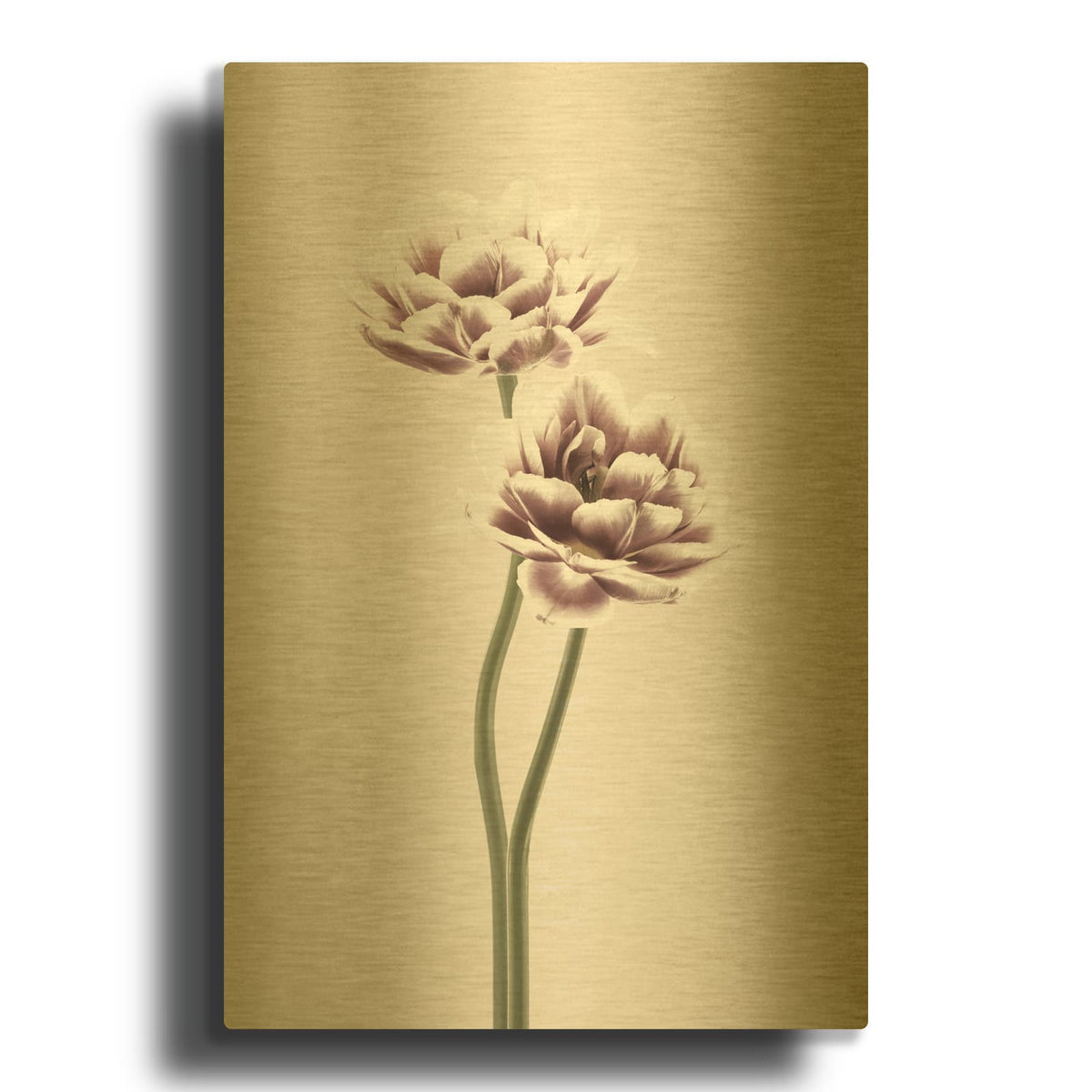 'Cosmos 1' By Design Fabrikken Gold Metal Wall Art