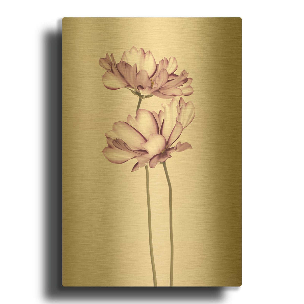 'Cosmos 2' By Design Fabrikken Gold Metal Wall Art