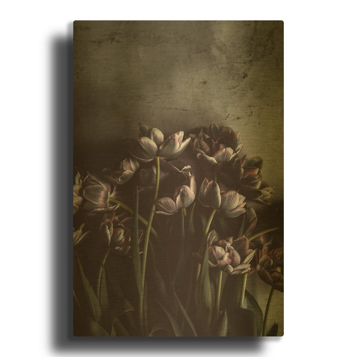 'Dark Tulips' By Design Fabrikken Gold Metal Wall Art