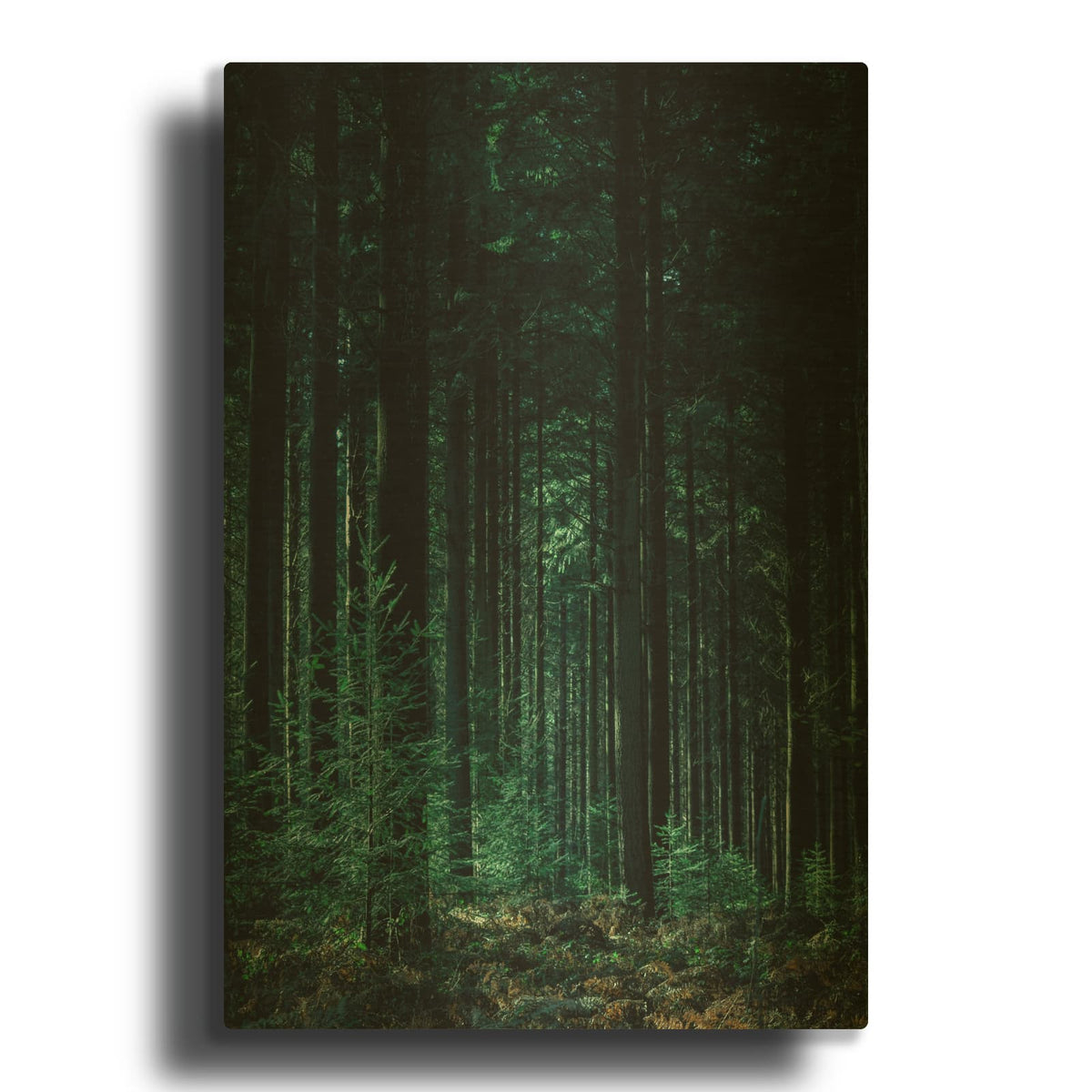 'Deep Green' By Design Fabrikken Gold Metal Wall Art
