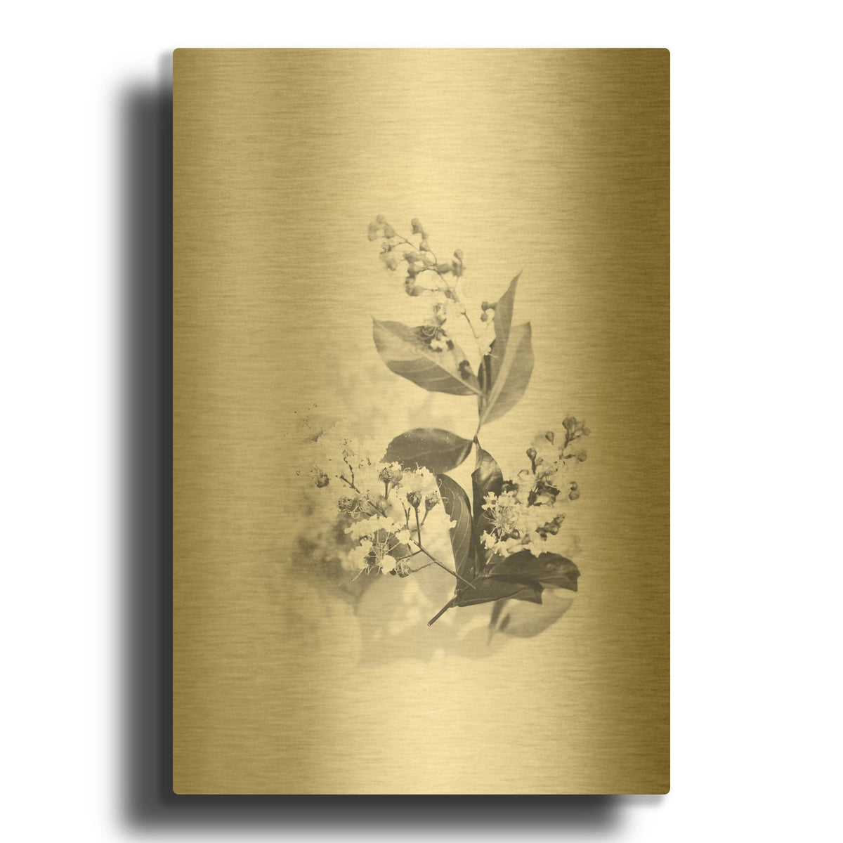 'Evie' By Design Fabrikken Gold Metal Wall Art