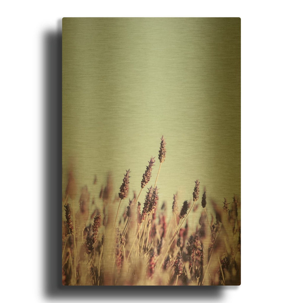 'Field Haze' By Design Fabrikken Gold Metal Wall Art