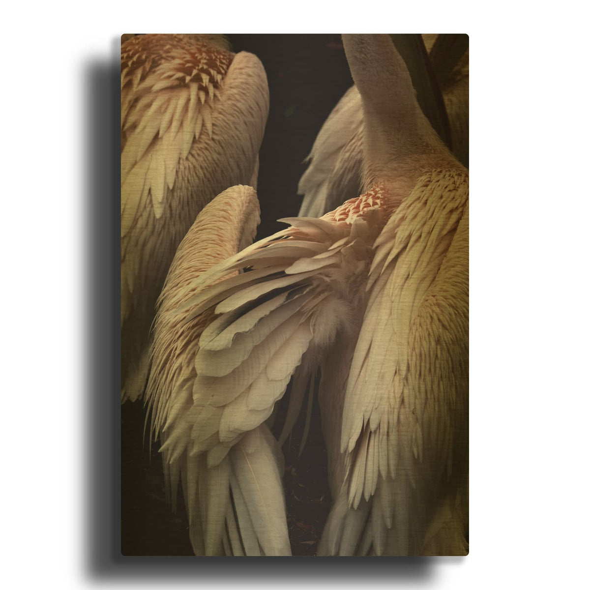 'Flamboyance 1' By Design Fabrikken Gold Metal Wall Art