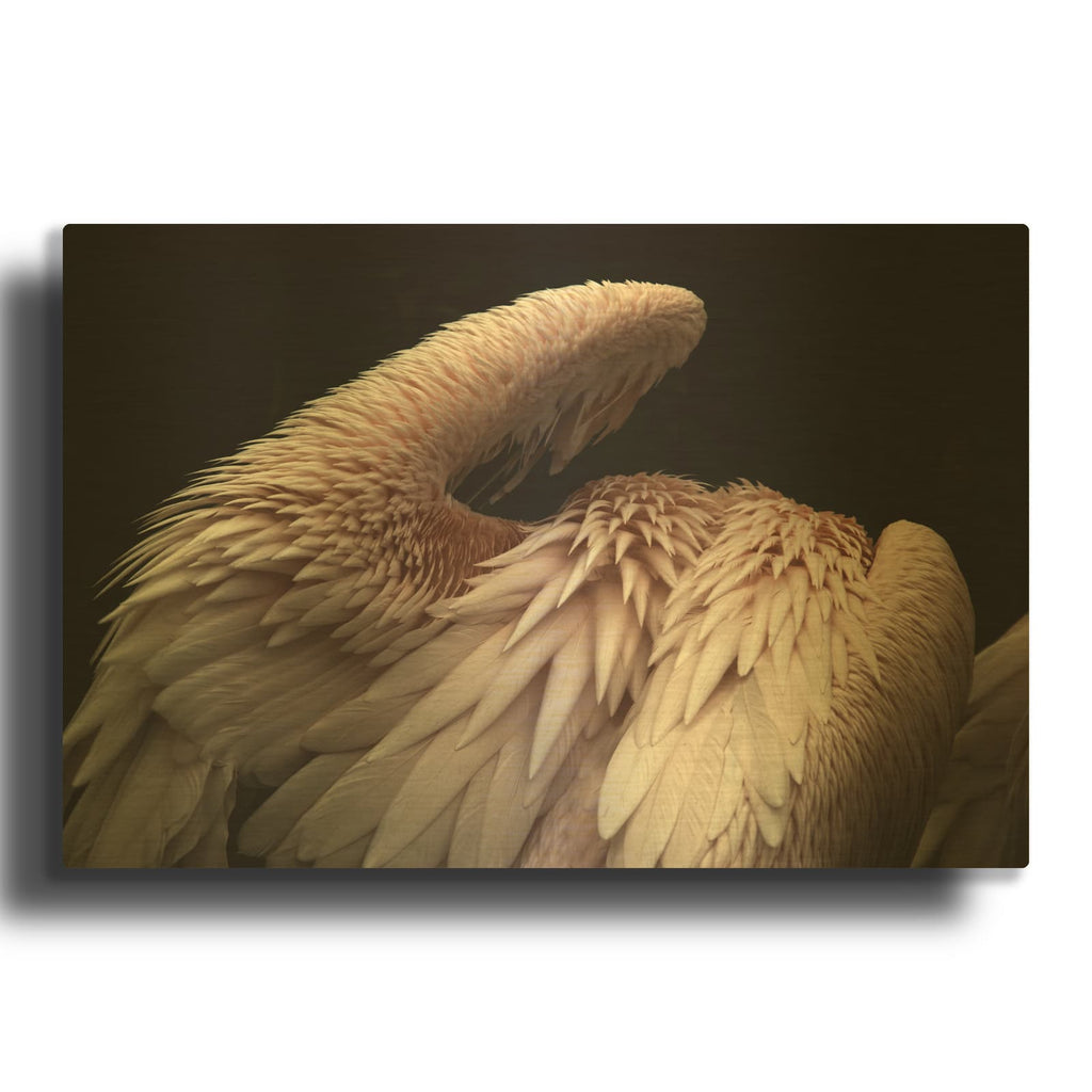 'Flamboyance 2' By Design Fabrikken Gold Metal Wall Art