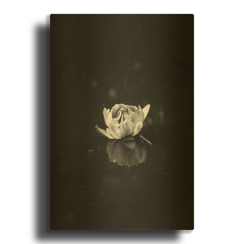 'Floating 2' By Design Fabrikken Gold Metal Wall Art