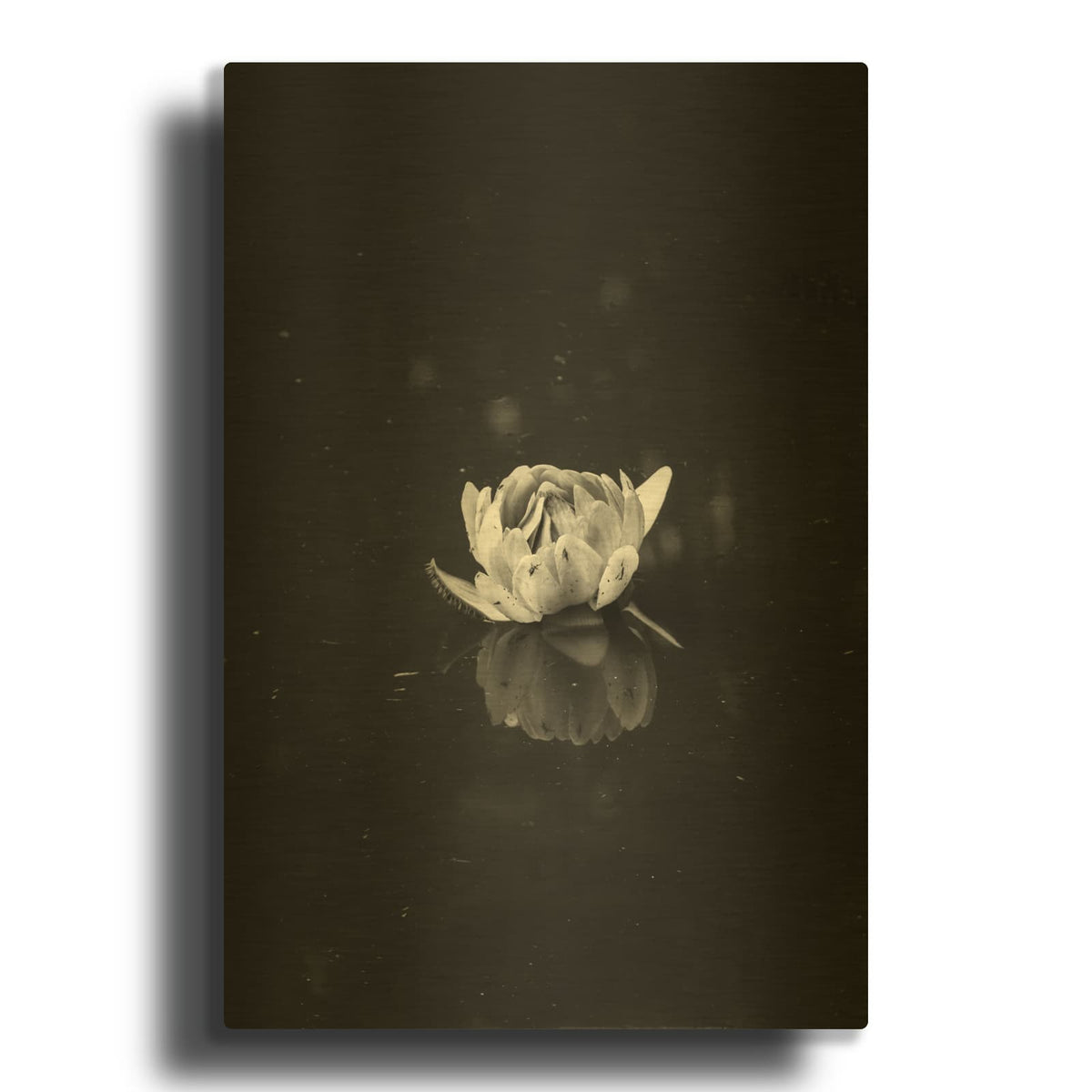 'Floating 2' By Design Fabrikken Gold Metal Wall Art