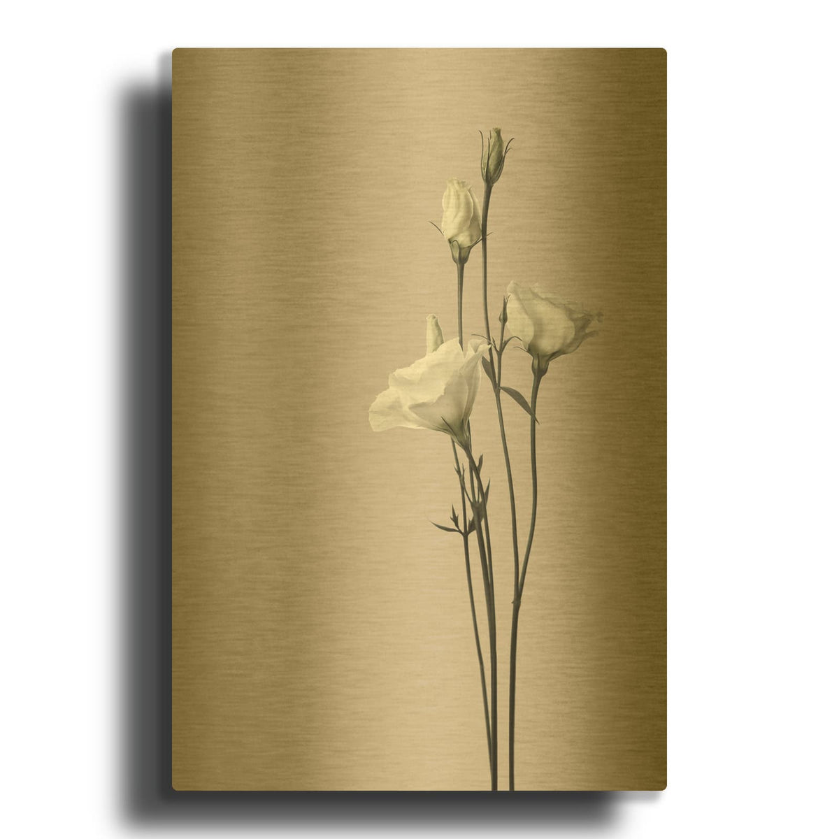 'Flower 2' By Design Fabrikken Gold Metal Wall Art