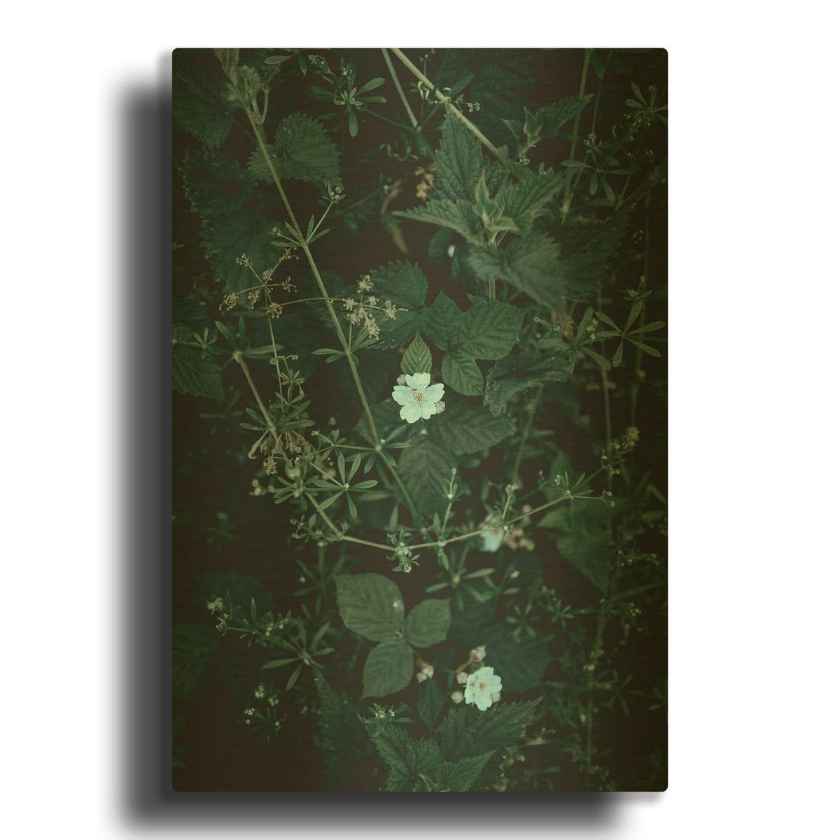 'Greenery' By Design Fabrikken Gold Metal Wall Art