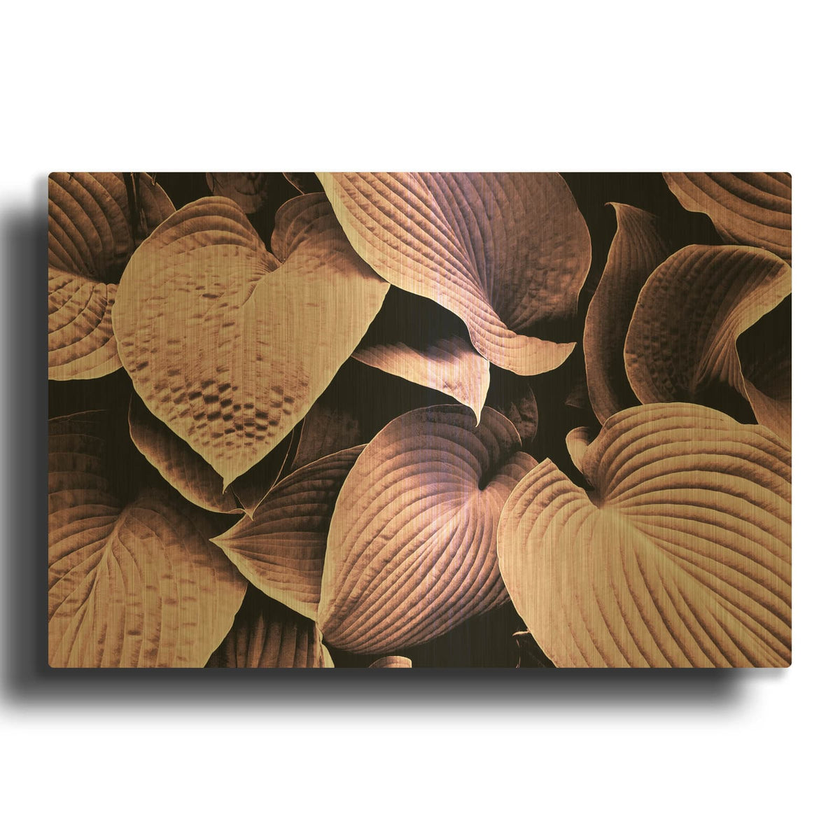 'Groove' By Design Fabrikken Gold Metal Wall Art