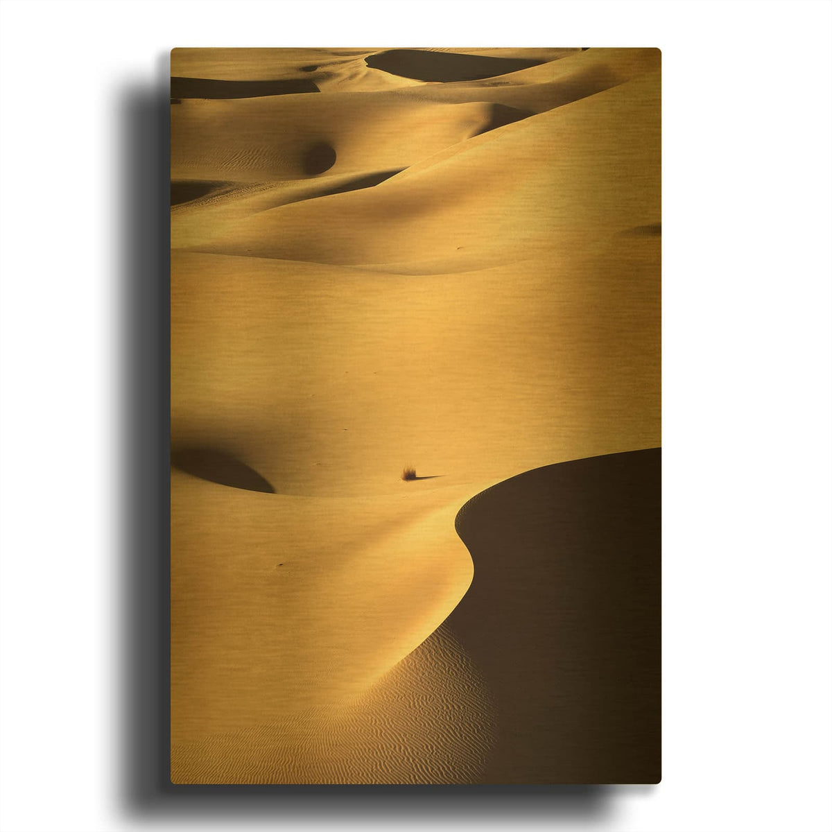 'In the Dunes 1' By Design Fabrikken Gold Metal Wall Art