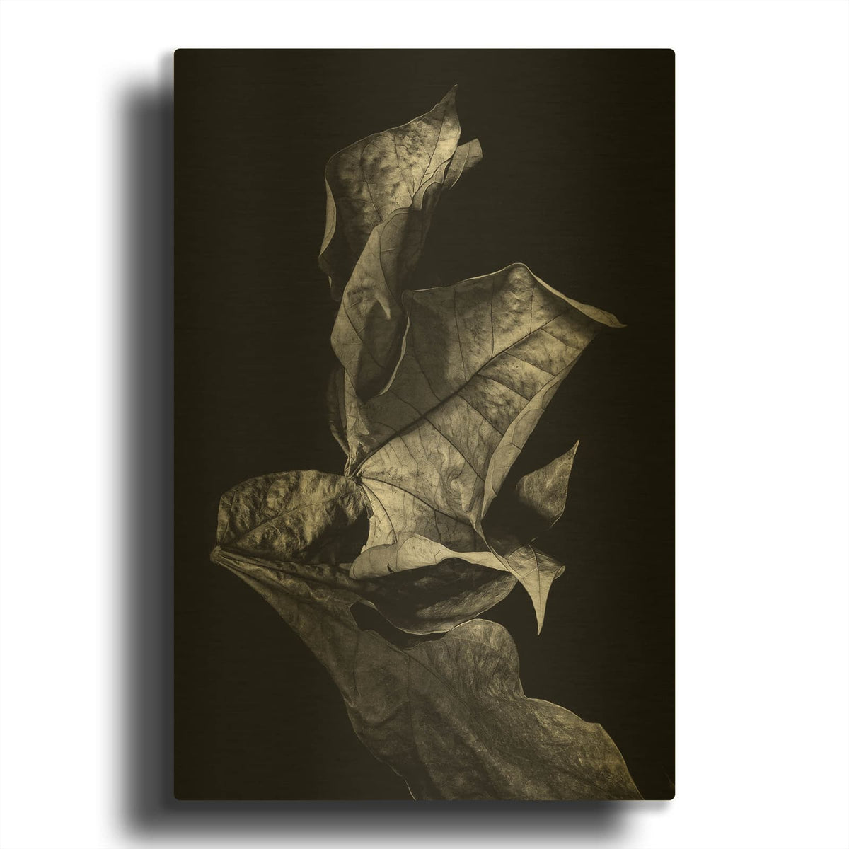 'Leaf Composition Dark' By Design Fabrikken Gold Metal Wall Art